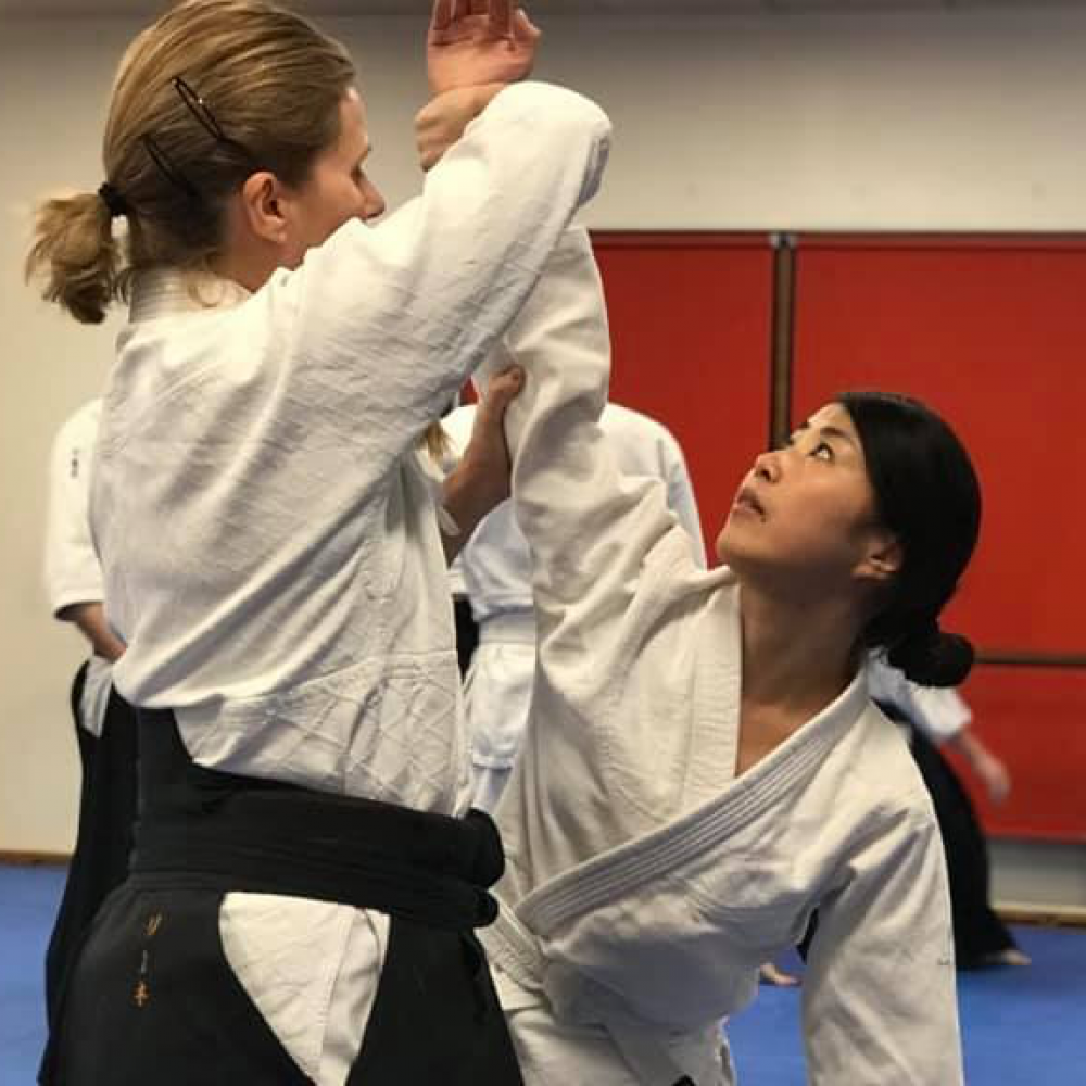 Frederiksberg Aikido Voksenhold tryout image