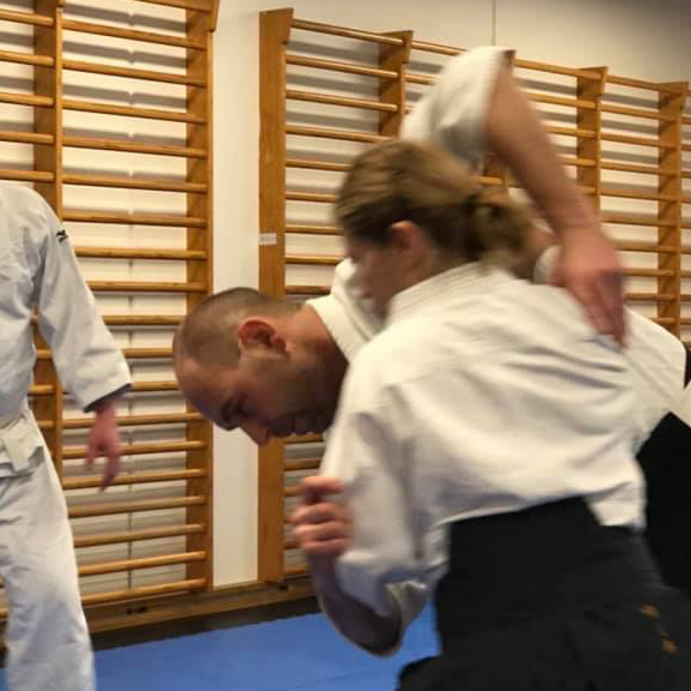 Frederiksberg Aikido Voksenhold tryout image