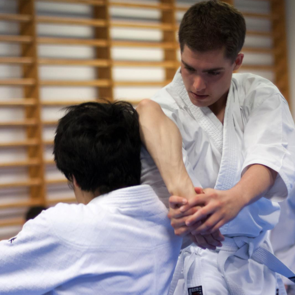 Frederiksberg Aikido Voksenhold tryout image