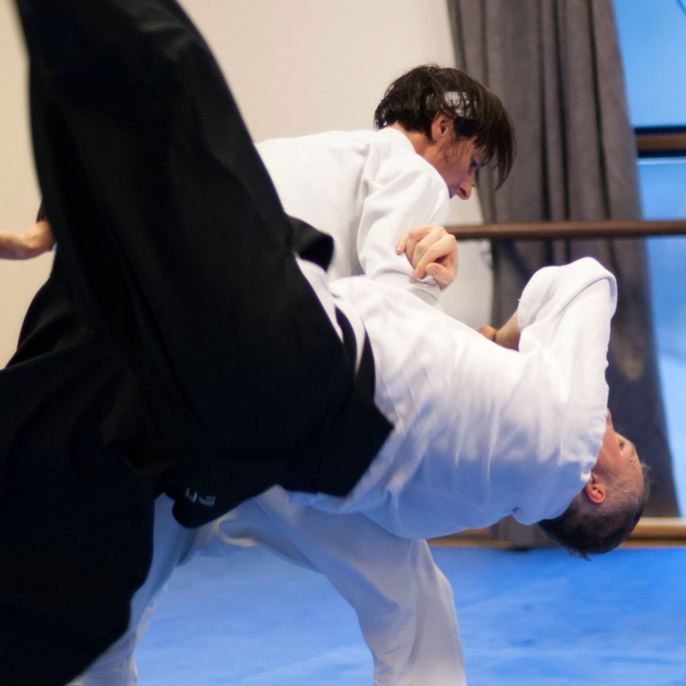 Frederiksberg Aikido Voksenhold tryout image