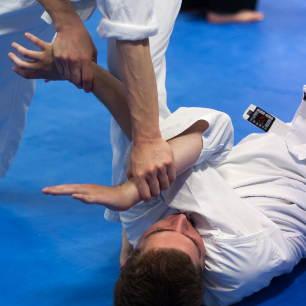 Frederiksberg Aikido Voksenhold tryout image
