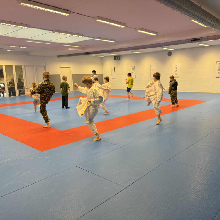 Børn Introduktion tryout image