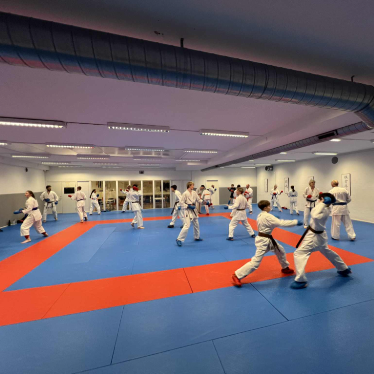 Voksen Begynder tryout image