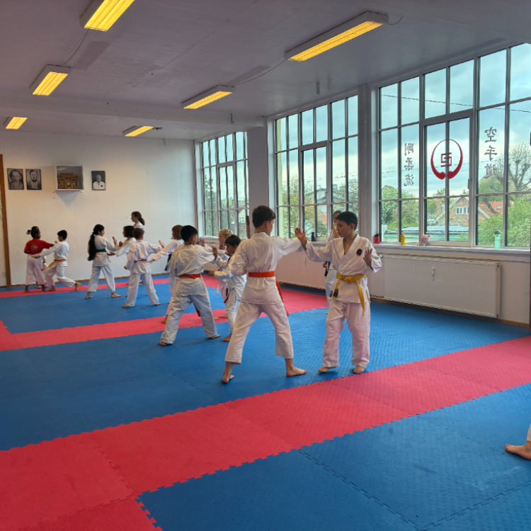 Børn, begyndere (6-12 år) tryout image
