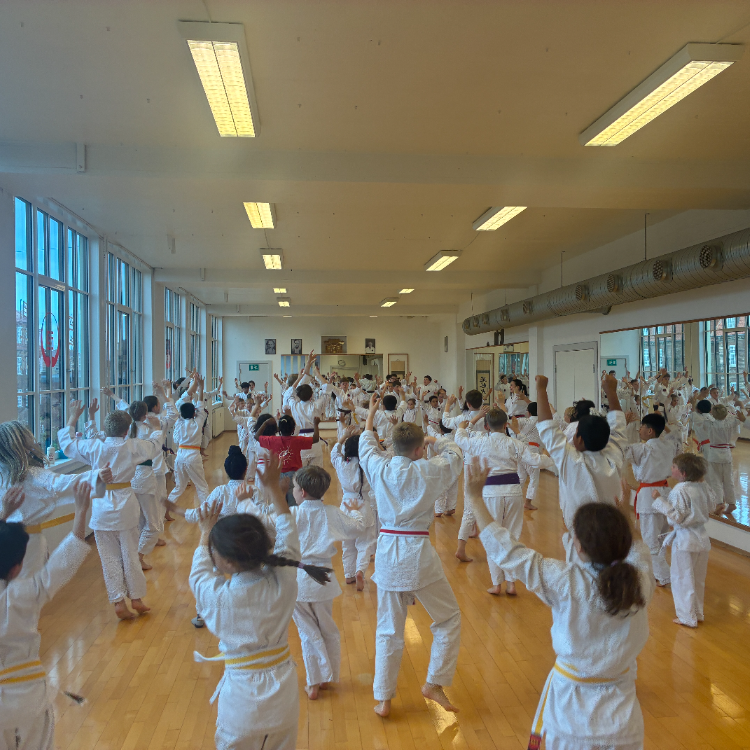 Børn, begyndere (6-12 år) tryout image