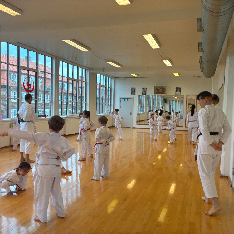Børn, begyndere (6-12 år) tryout image