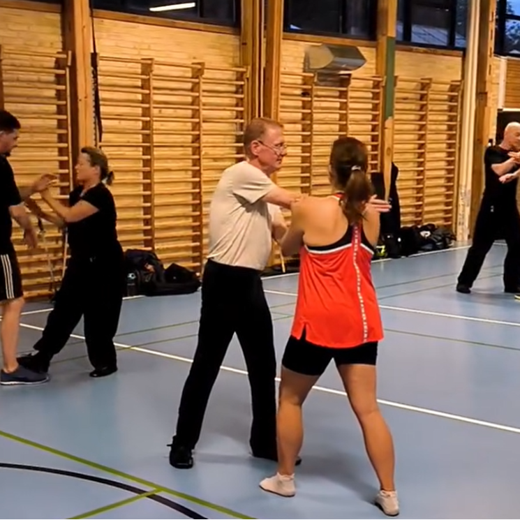 Kampsport alle niveauer tryout image