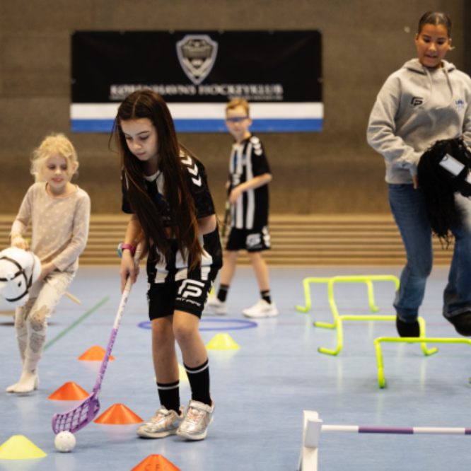 Kæphest og floorball tryout image