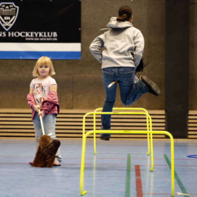 Kæphest og floorball tryout image