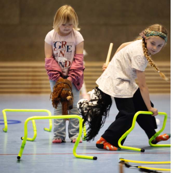 Kæphest og floorball tryout image