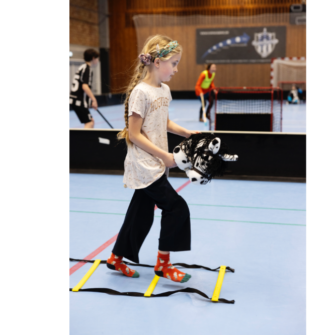 Kæphest og floorball tryout image