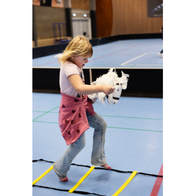 Kæphest og floorball tryout image