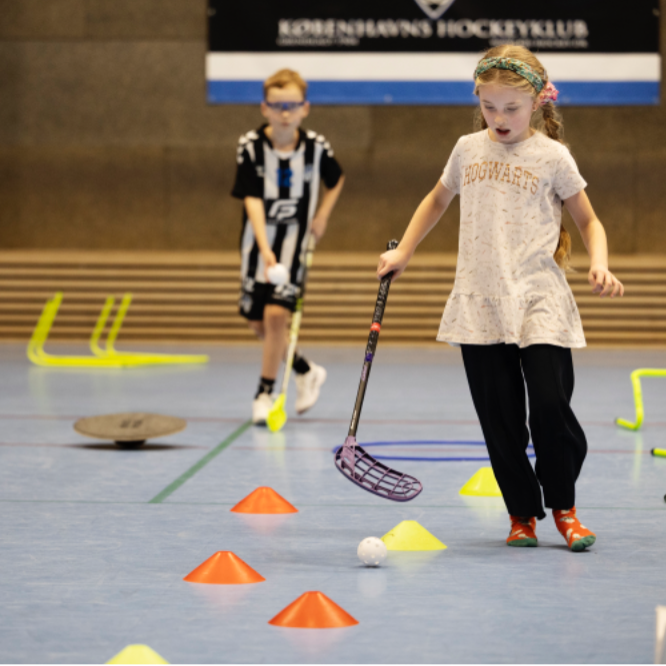 Kæphest og floorball tryout image
