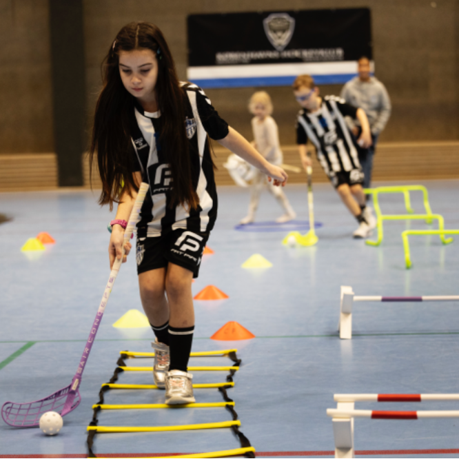 Kæphest og floorball tryout image
