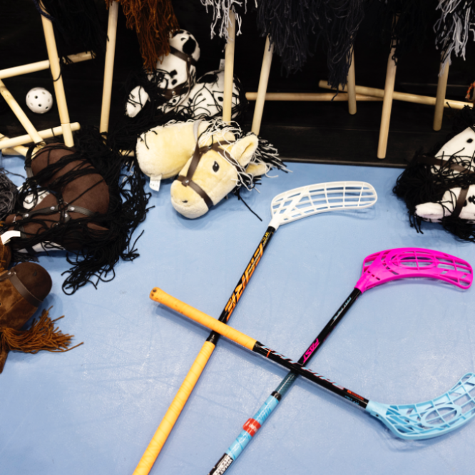 Kæphest og floorball tryout image