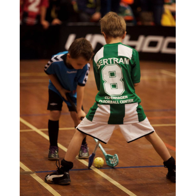 Floorball for piger og drenge 0.-3. klasse tryout image
