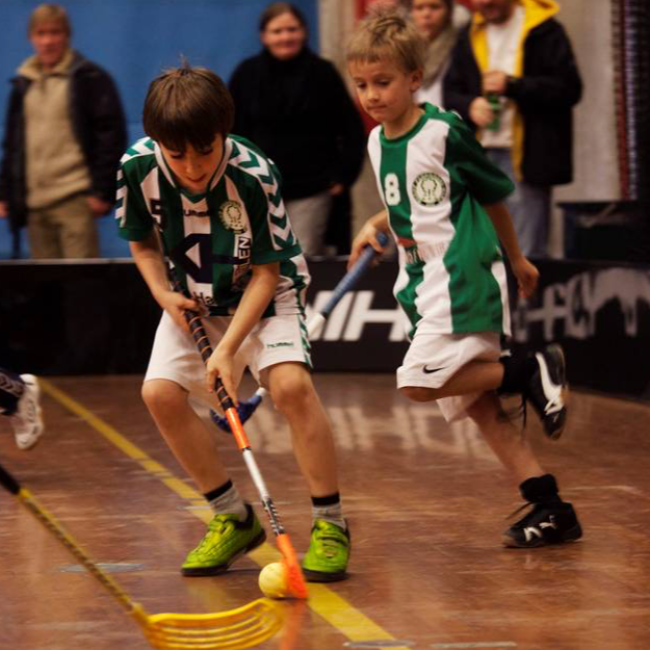 Floorball for piger og drenge 0.-3. klasse tryout image
