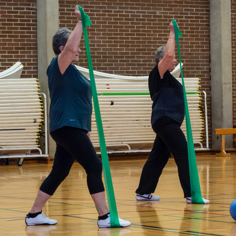 Frisk motion i Thurø Hallen tryout image