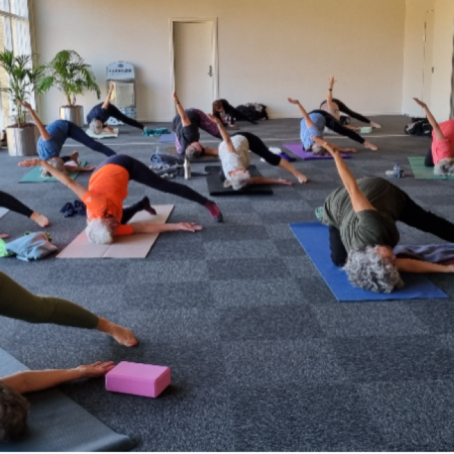 yoga tryout image