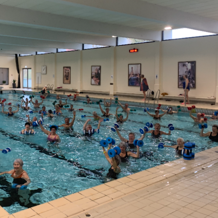 Vandgymnastik tryout image