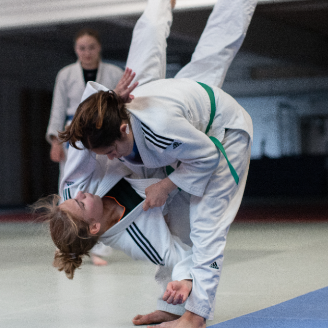 Voksenhold tryout image