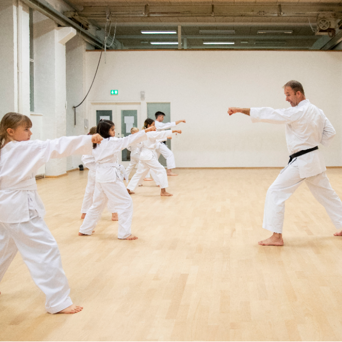 Shotokan Karate for børn tryout image