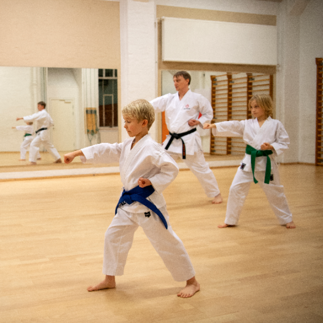Shotokan Karate for børn tryout image
