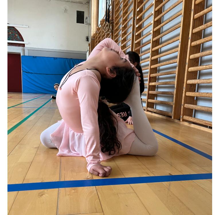 Rytmisk Sportsgymnastik (8-10 år) tryout image