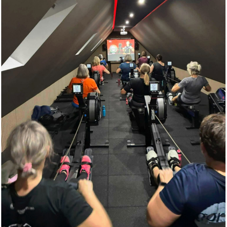 Rospinning hos Aalborg roklubberne tryout image