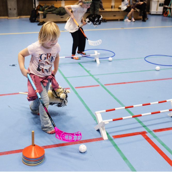 Familiesportslørdag tryout image