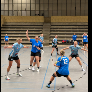 3. division damer