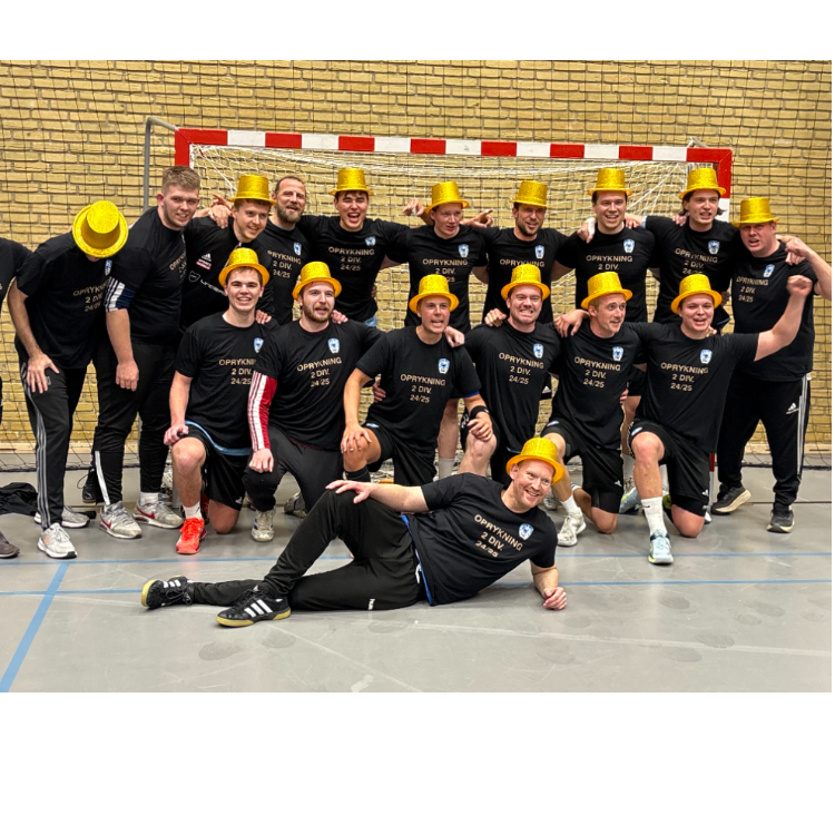 Herre senior 2. division og Danmarksserie tryout image
