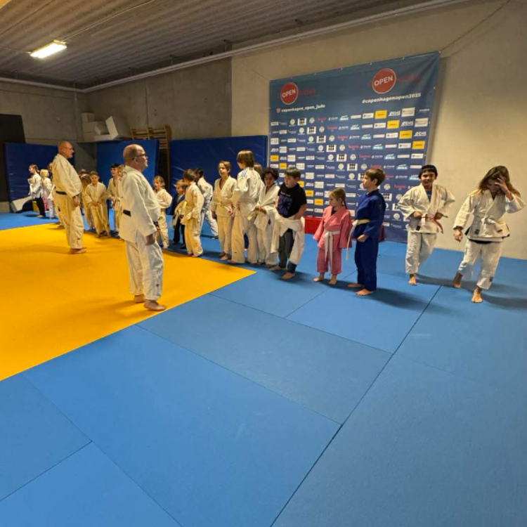 Judo for børn (5-7 år om lørdagen) tryout image
