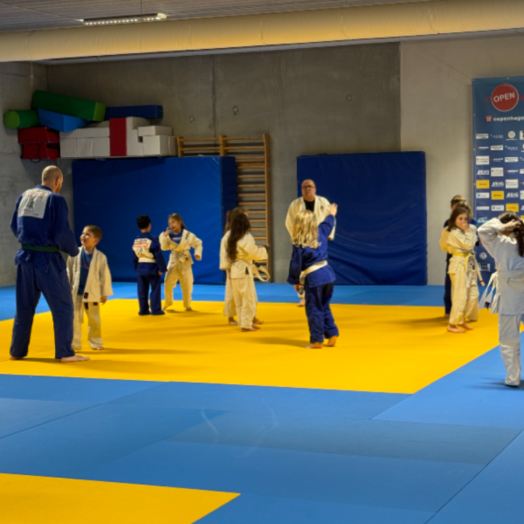 Judo for børn (5-7 år om onsdagen) tryout image