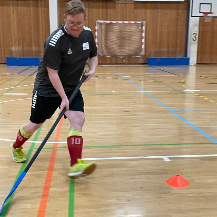 Hockey for voksne med særlige behov tryout image