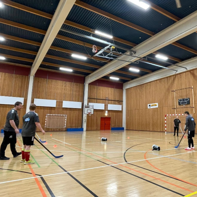 Hockey for voksne med særlige behov tryout image