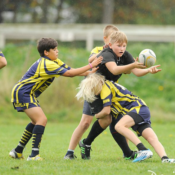 Ungdomsrugby U16 Torsdag tryout image