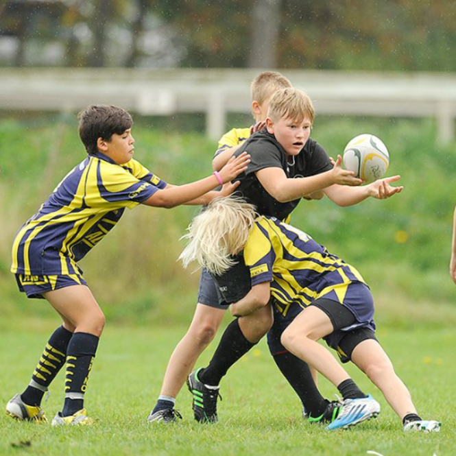 Ungdomsrugby U16 Tirsdag  tryout image