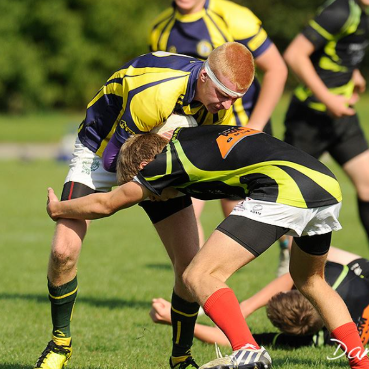 Ungdomsrugby U18 Tirsdag  tryout image