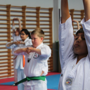Taekwondo børn begyndere +9 år
