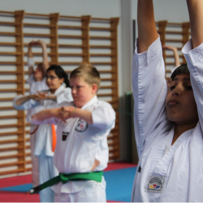 Taekwondo børn begyndere +9 år tryout image