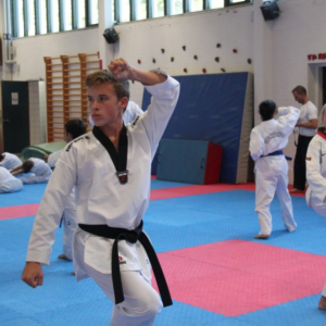 Taekwondo Grundteknik (Hold AB) +15 år