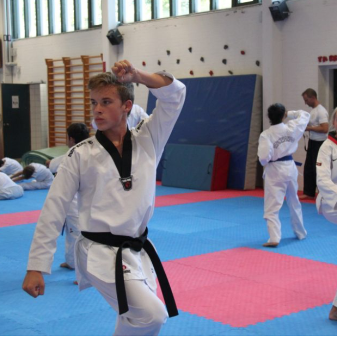 Taekwondo Grundteknik (Hold AB) +15 år tryout image