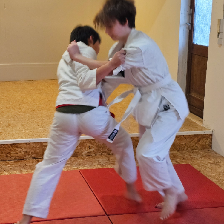 Shorin-Ryu Kids tryout image