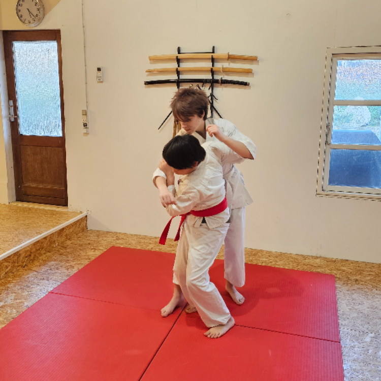 Shorin-Ryu Kids tryout image