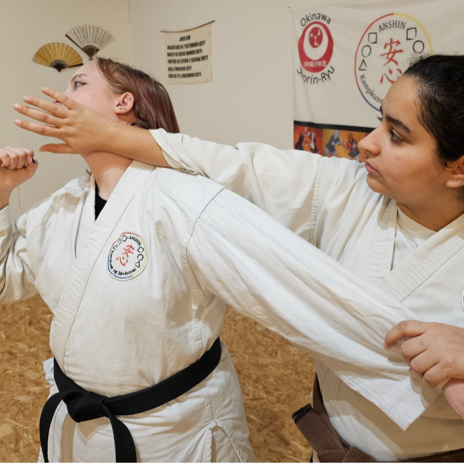 Kōryu Jissen Shōrin-Ryū tryout image