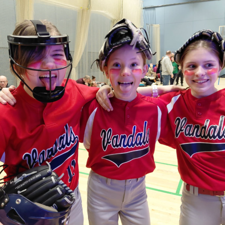 Softball (Baseball) fra 12 år  tryout image