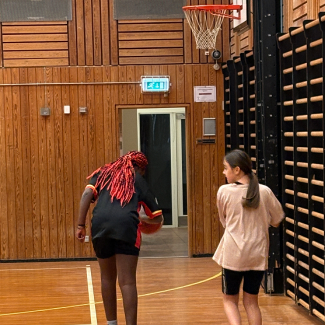 U13/U15 - Girls (11-14 år) tryout image