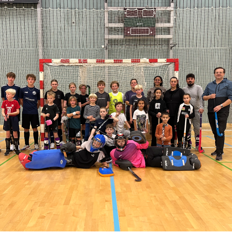 Hockey og leg tryout image