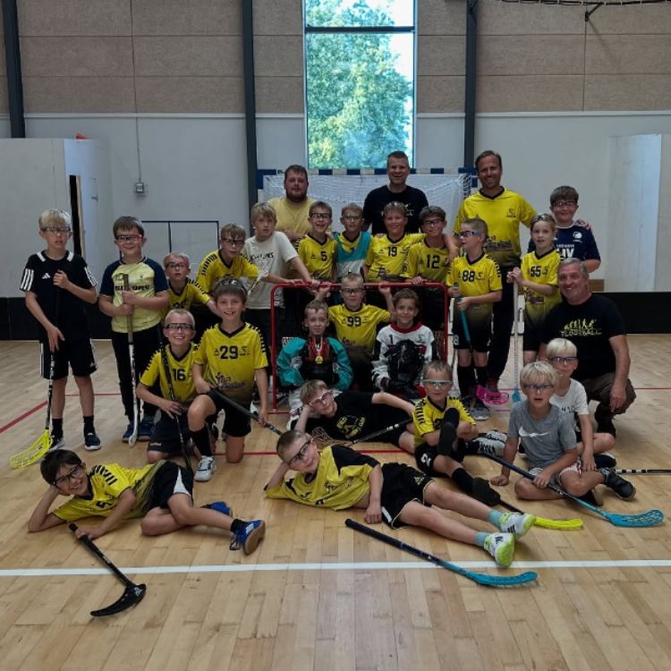 Herlev Floorball U9/U11 (8 - 12 år) tryout image